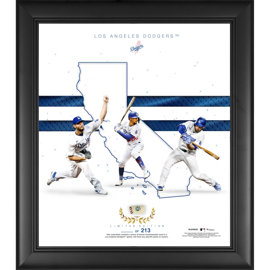 Los Angeles Dodgers Fanatics Authentic Framed 15