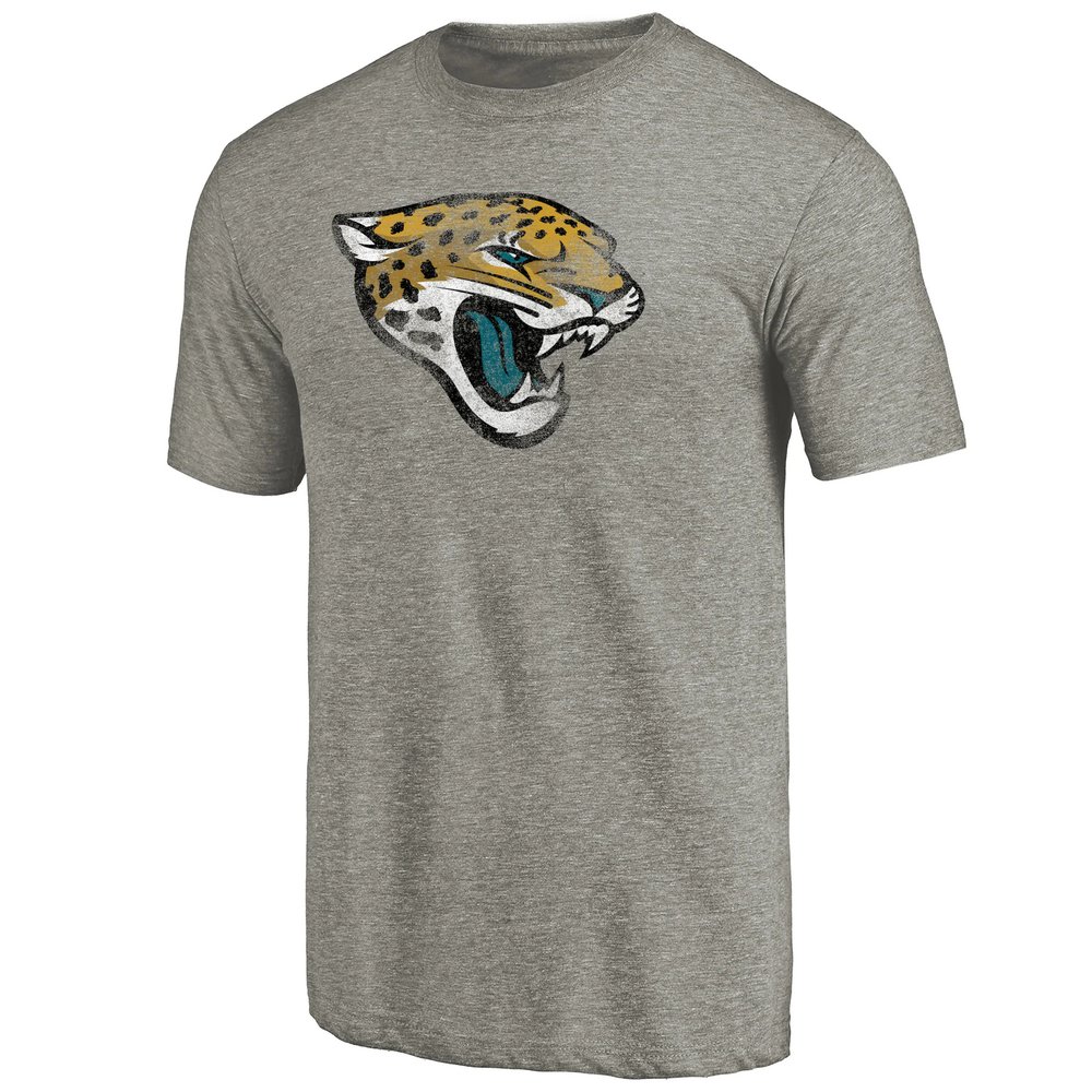 Jacksonville Jaguars NFL Pro Line Distressed Team T-Shirt - Ash