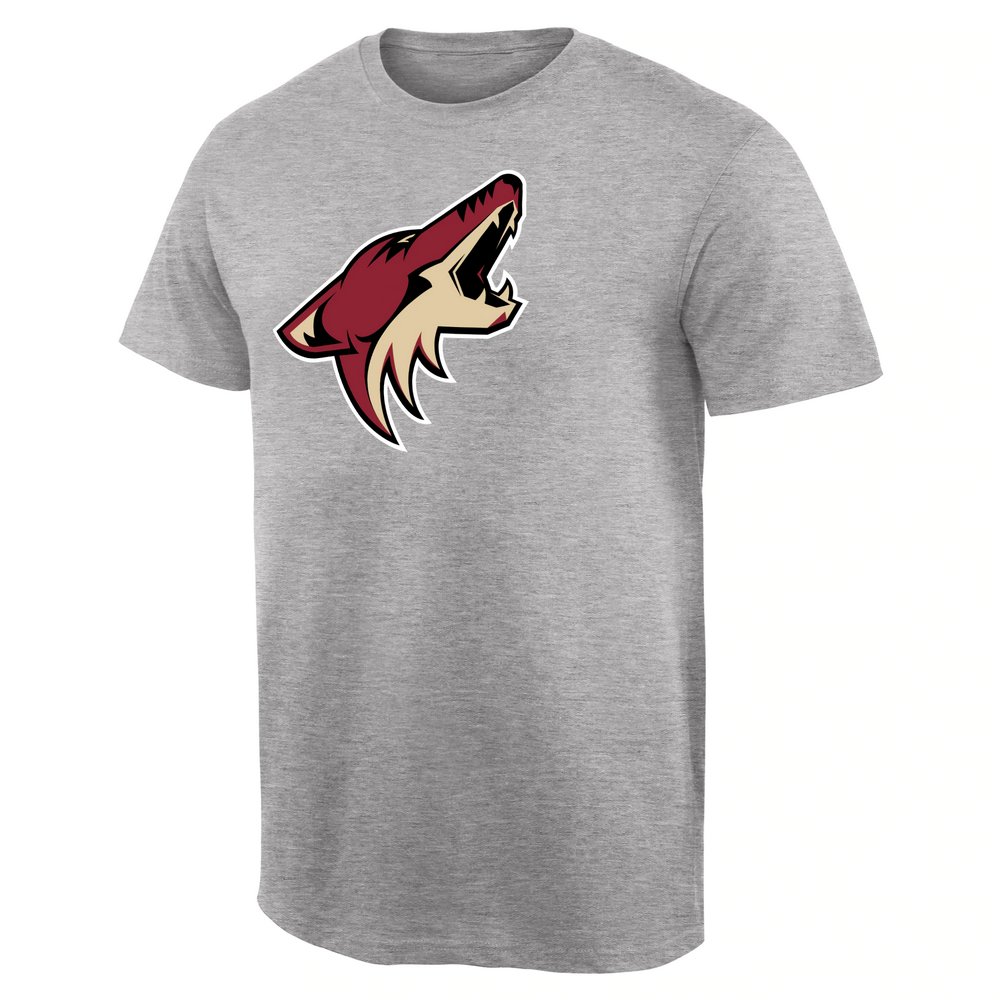 Arizona Coyotes Team Primary Logo T-Shirt - Ash