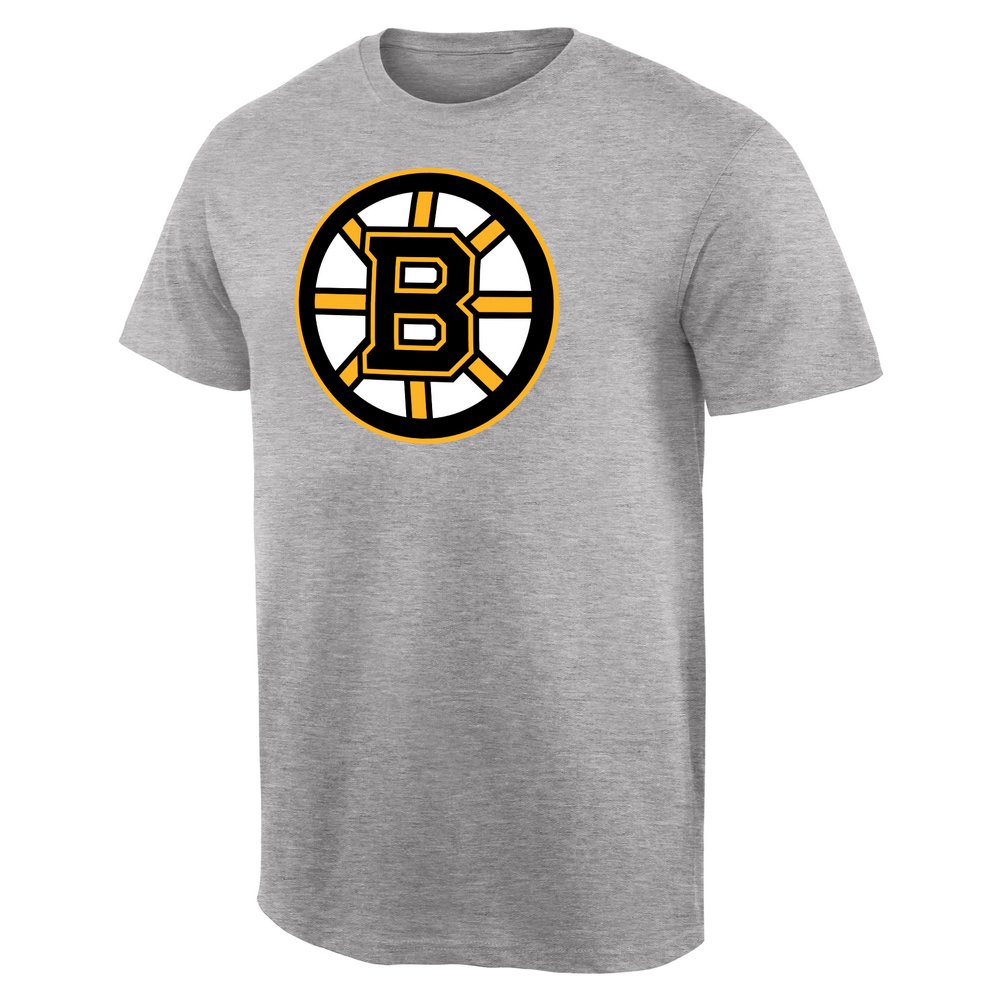 Boston Bruins Team Primary Logo T-Shirt - Ash