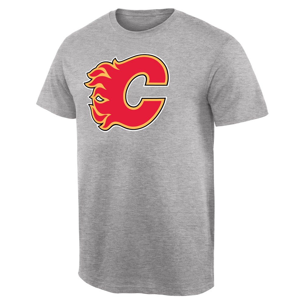 Calgary Flames Team Primary Logo T-Shirt - Ash