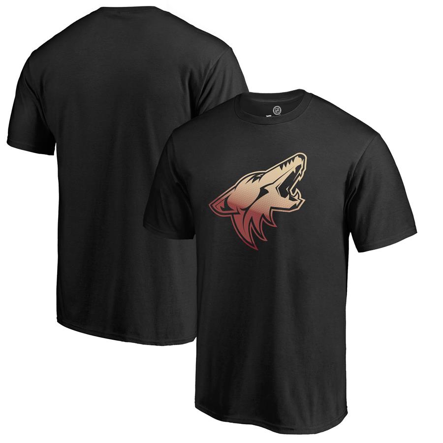 Arizona Coyotes Fanatics Branded Gradient Logo T-Shirt - Black