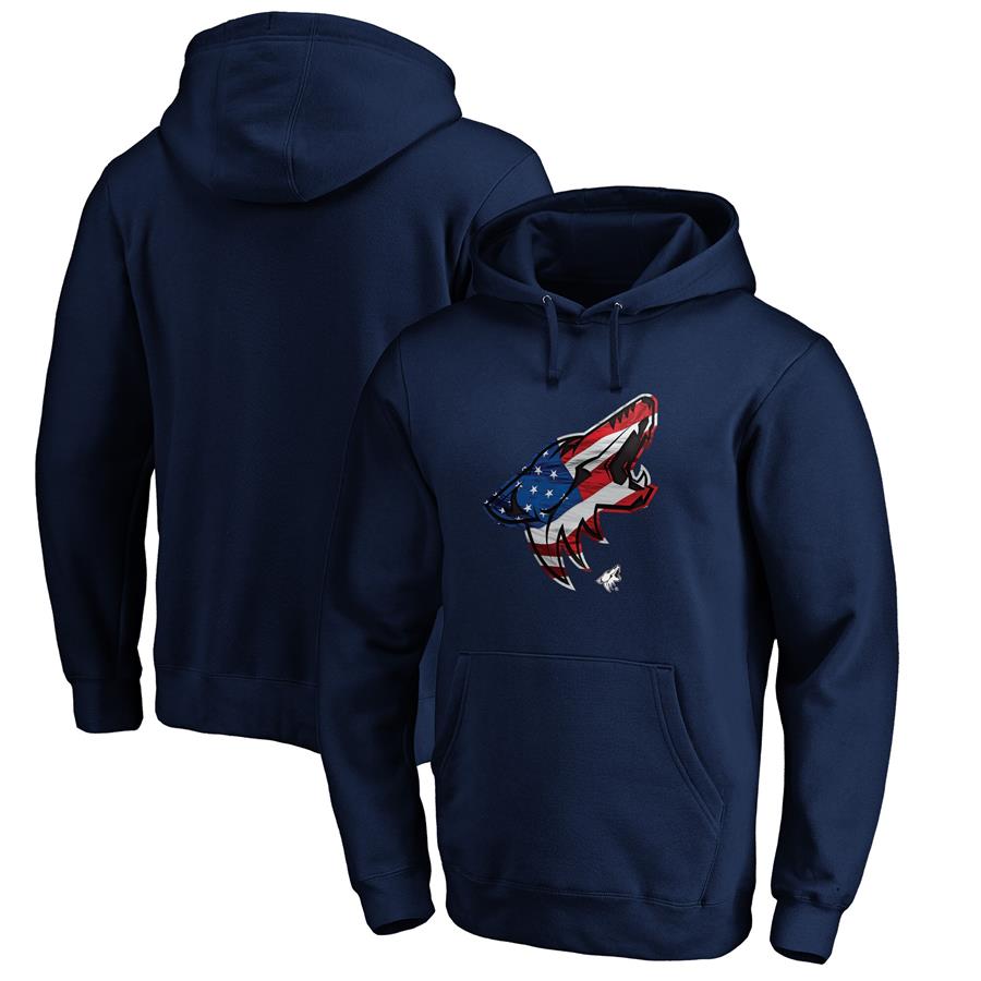 Arizona Coyotes Fanatics Branded Banner Wave Logo Pullover Hoodie - Navy