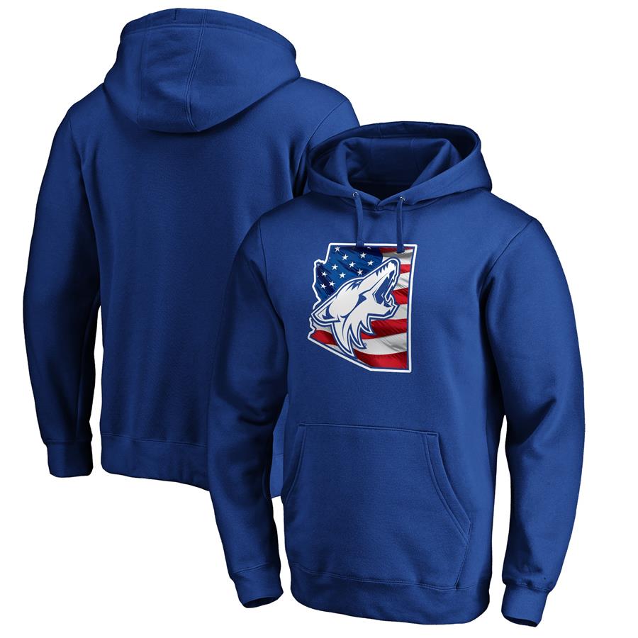 Arizona Coyotes Fanatics Branded NHL Banner State Pullover Hoodie - Royal