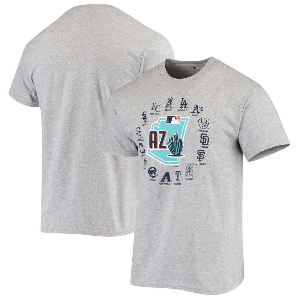 Fanatics Branded Cactus League Spring Training Duck Pond T-Shirt - Heathered Gray