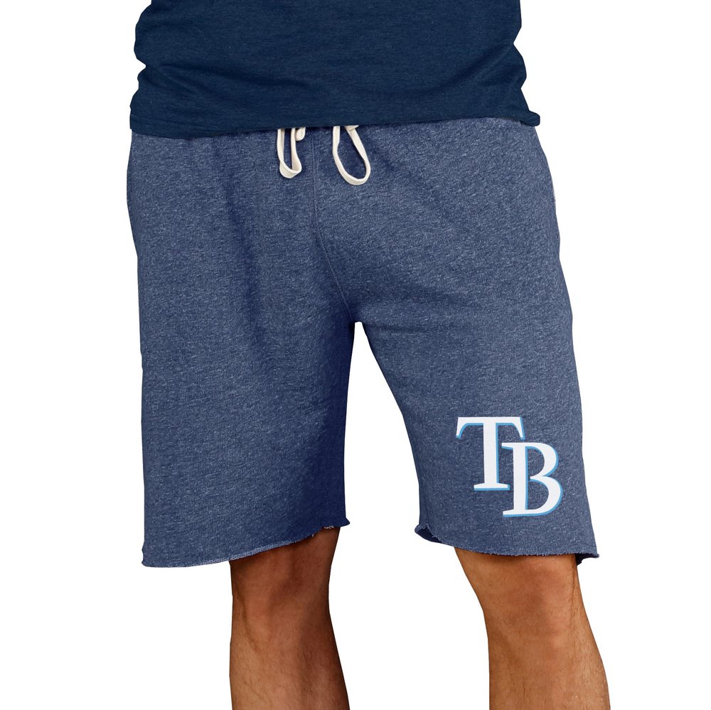 Tampa Bay Rays Concepts Sport Mainstream Terry Shorts - Navy