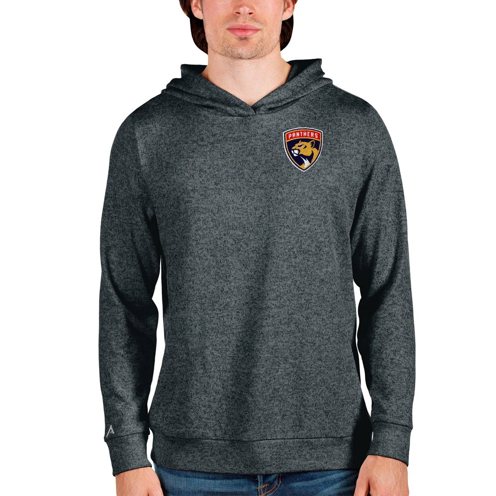 Худи Florida Panthers Antigua Team Absolute (тёмно-серый меланж)