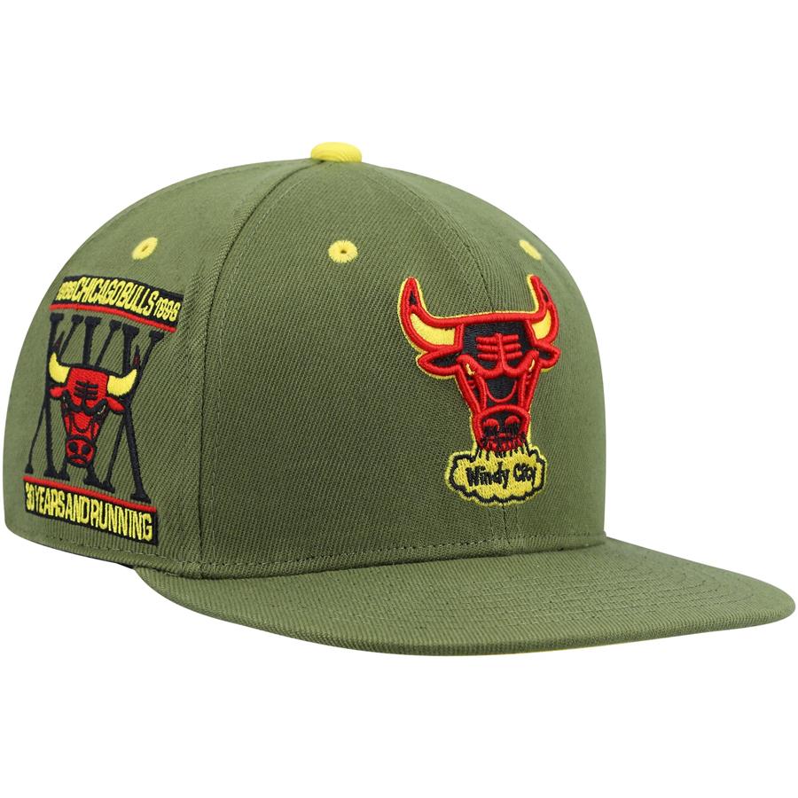 Chicago Bulls Mitchell & Ness x Lids 30th Anniversary Hardwood Classics Dusty Fitted Hat - Olive