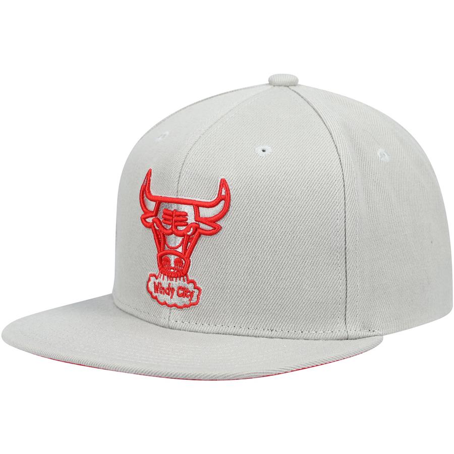 Chicago Bulls Mitchell & Ness Hardwood Classics Tonal Snapback Hat - Gray