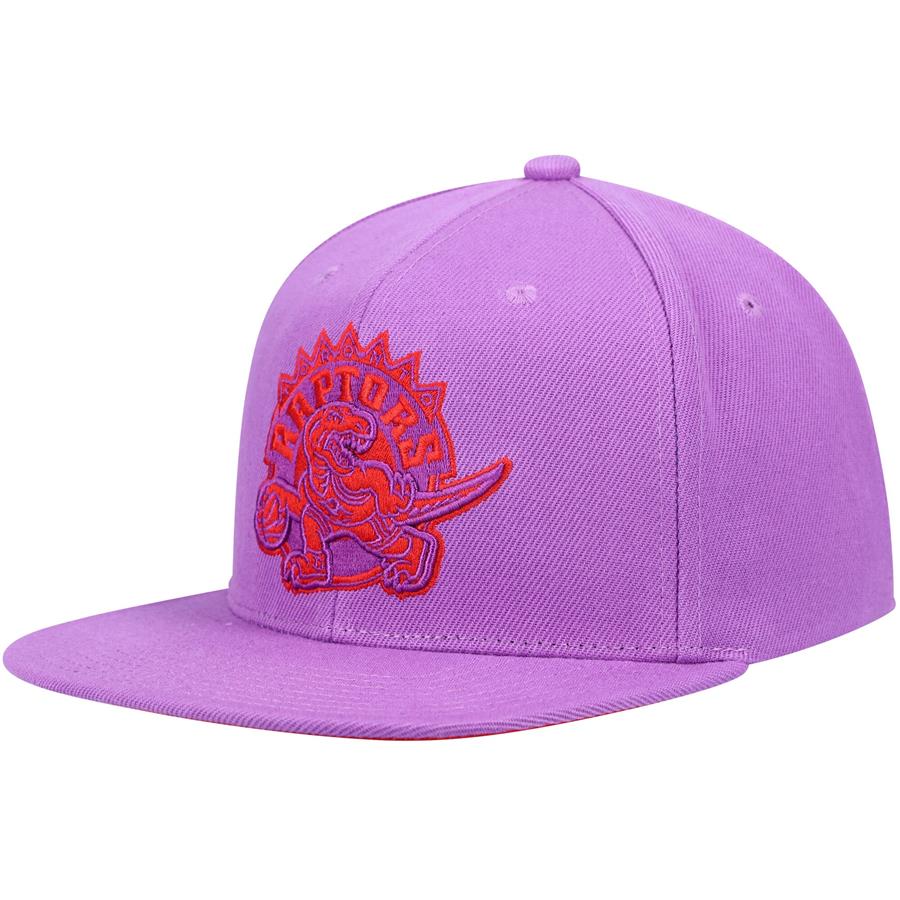 Toronto Raptors Mitchell & Ness Hardwood Classics Tonal Snapback Hat - Purple