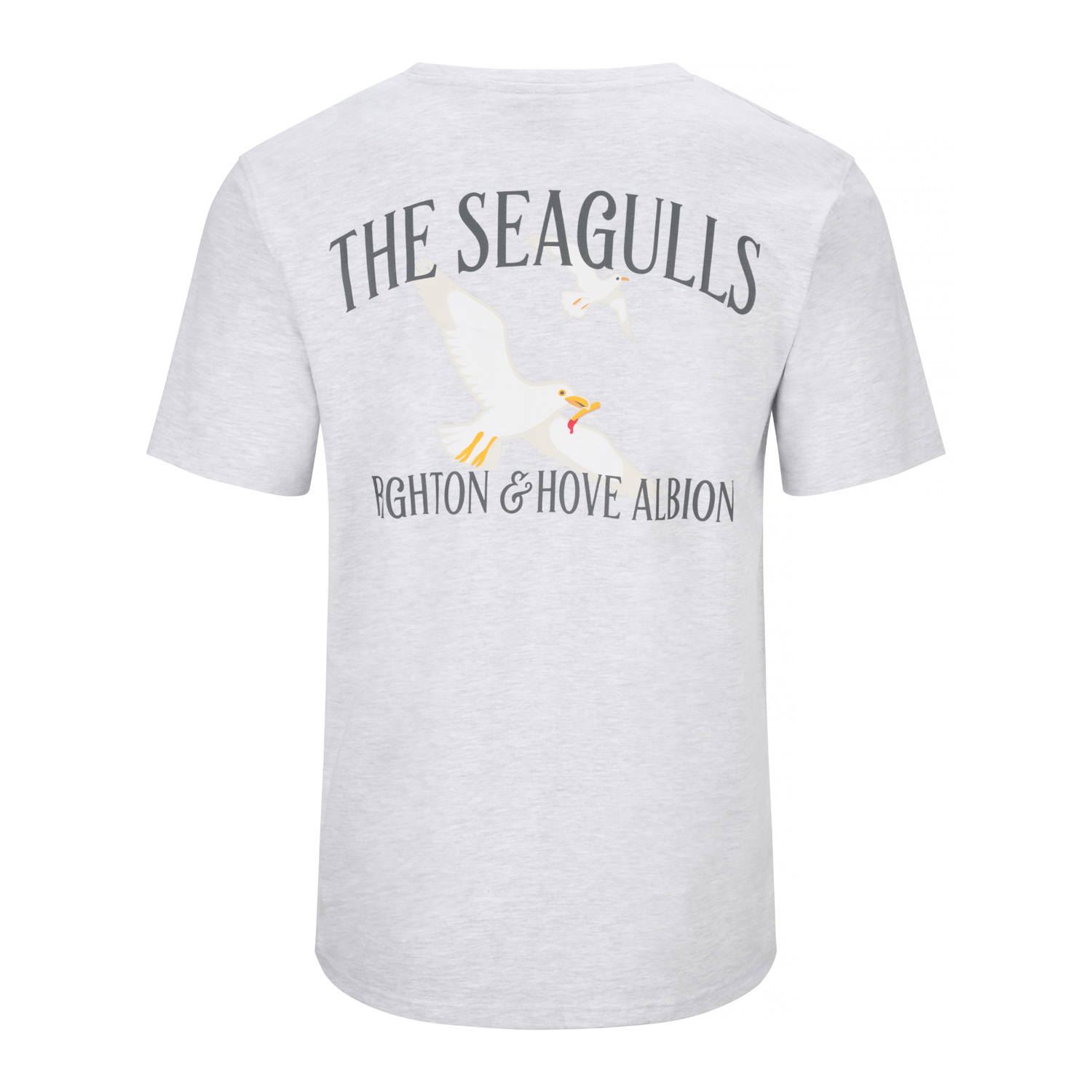 Футболка Brighton BHAFC Relaxed Seagulls (Light Grey)
