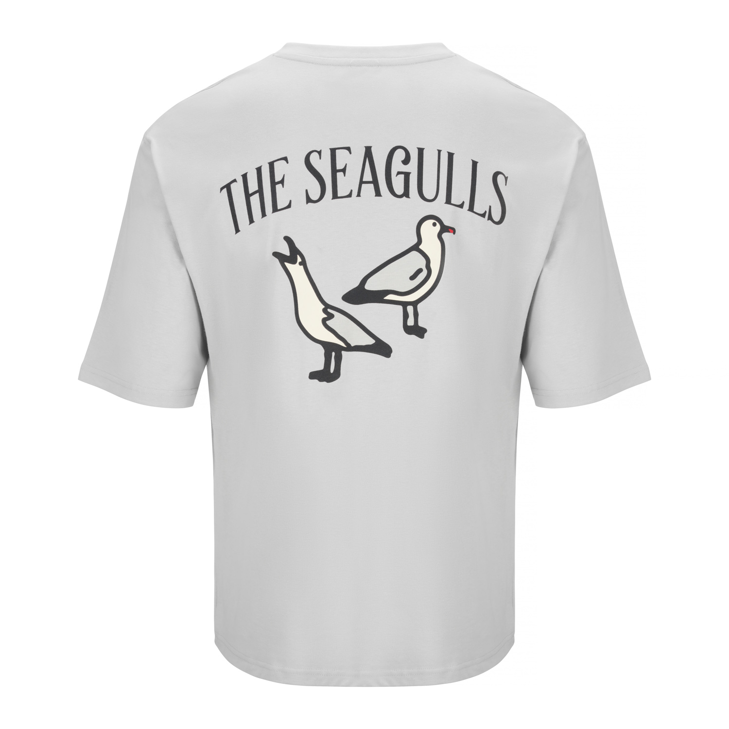 Brighton BHAFC Oversized Seagulls Tee - Soft Grey