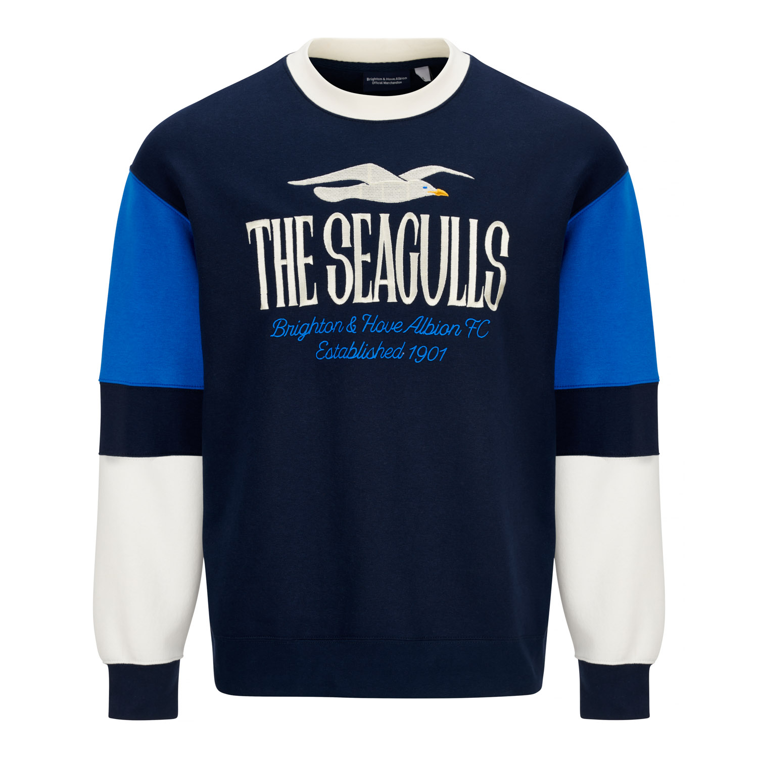 Свитшот Brighton BHAFC Navy Seagulls Relaxed
