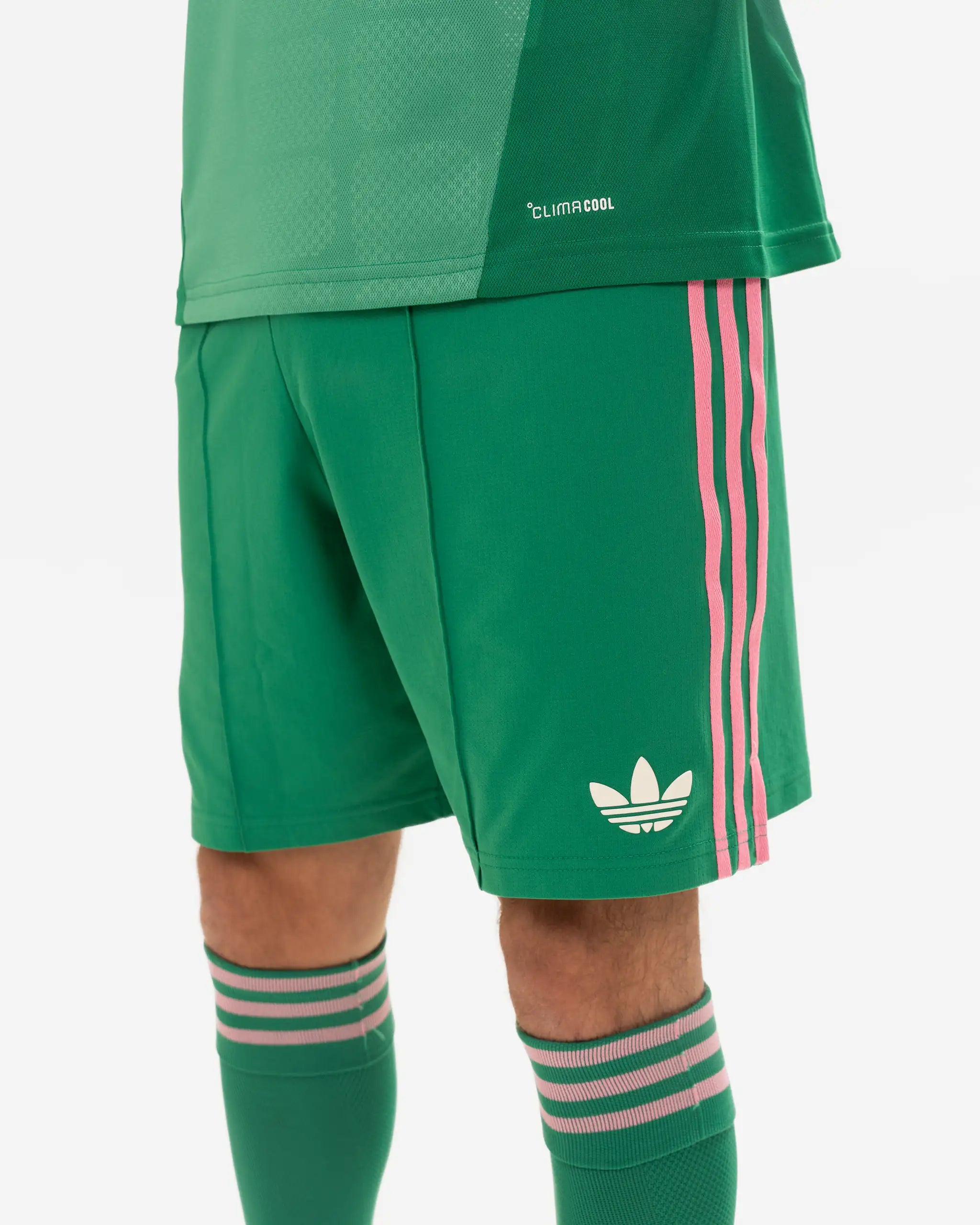 Шорты Newcastle United adidas 26/27 Green Goalkeeper