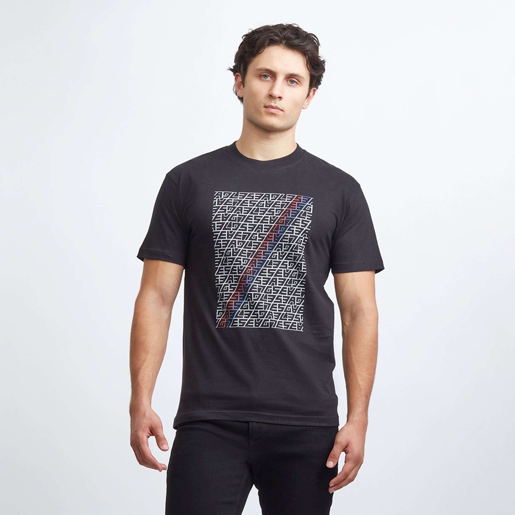 Crystal Palace Sash Typographic Tee