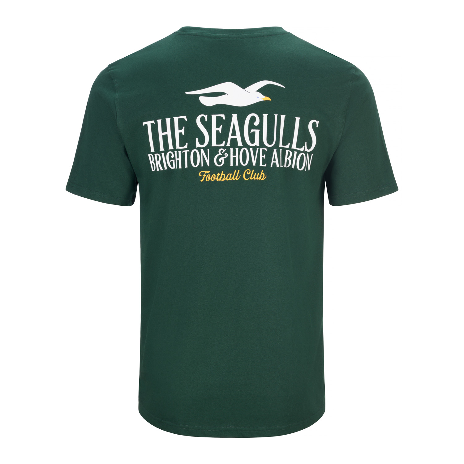 Футболка Brighton BHAFC Relaxed Backprint (Deep Forest)